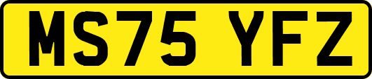 MS75YFZ
