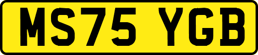MS75YGB