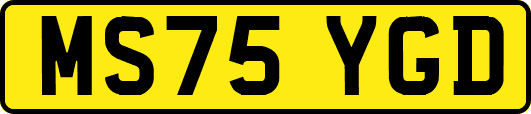 MS75YGD