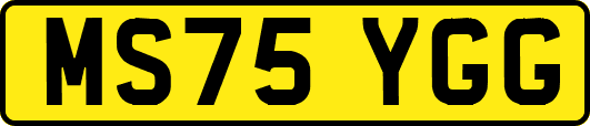 MS75YGG