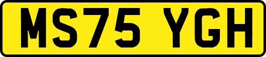 MS75YGH
