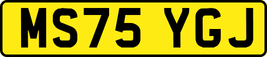 MS75YGJ