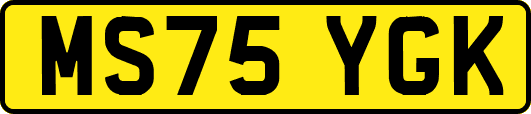 MS75YGK