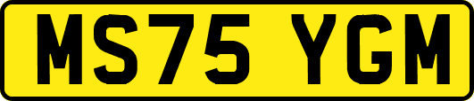 MS75YGM