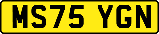 MS75YGN