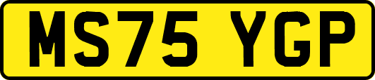 MS75YGP