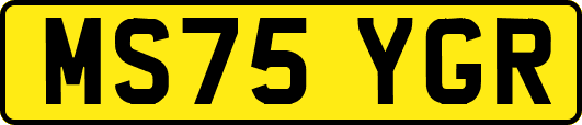 MS75YGR