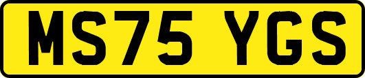MS75YGS