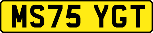 MS75YGT
