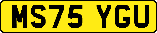 MS75YGU