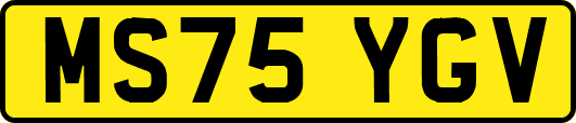 MS75YGV