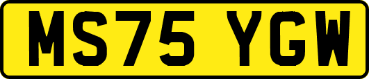 MS75YGW