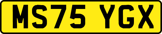 MS75YGX