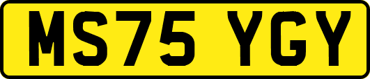 MS75YGY
