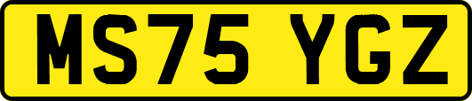 MS75YGZ
