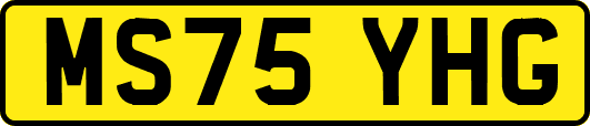 MS75YHG