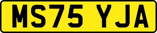 MS75YJA
