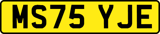 MS75YJE