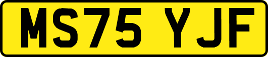 MS75YJF