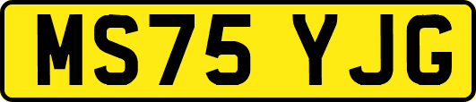 MS75YJG