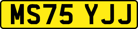 MS75YJJ