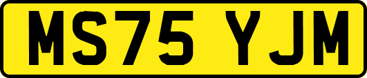 MS75YJM