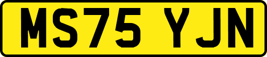 MS75YJN
