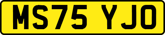 MS75YJO