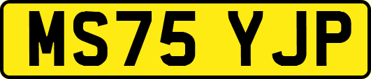 MS75YJP