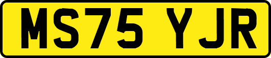 MS75YJR