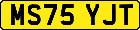 MS75YJT