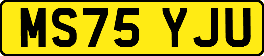MS75YJU