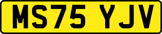 MS75YJV
