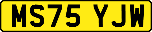 MS75YJW