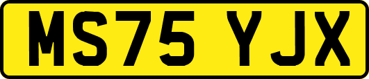 MS75YJX
