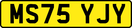 MS75YJY