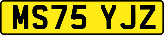 MS75YJZ