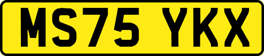 MS75YKX