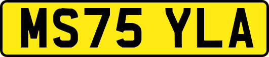 MS75YLA
