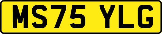 MS75YLG
