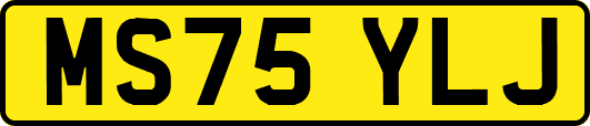 MS75YLJ