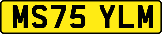 MS75YLM