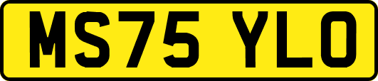 MS75YLO