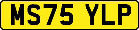 MS75YLP