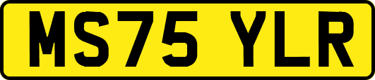 MS75YLR