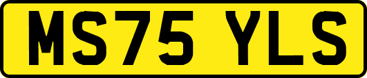 MS75YLS