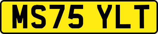 MS75YLT