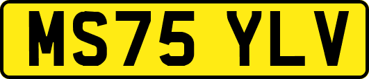 MS75YLV
