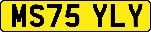 MS75YLY