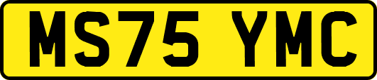 MS75YMC